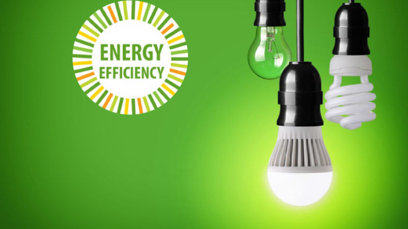 Towards-energy-efficiency,-Andhra-Pradesh-will-adopt-global-technologies