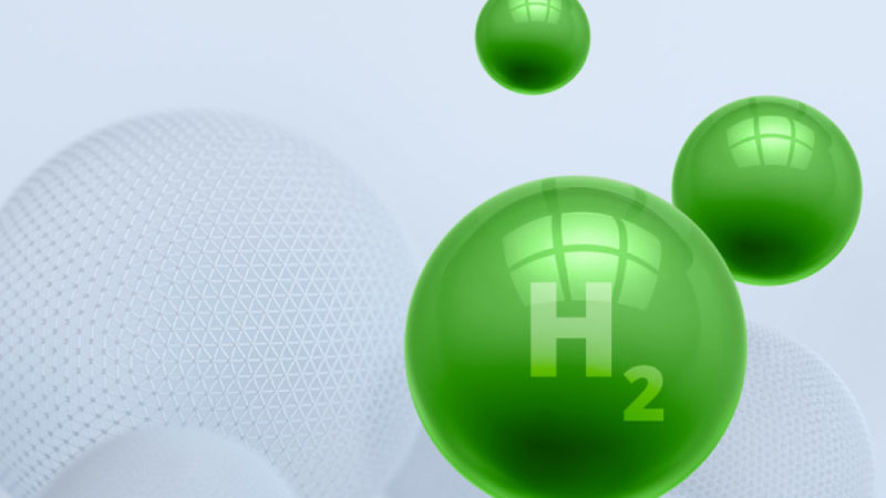 Policy to mandate usage of green hydrogen for industries