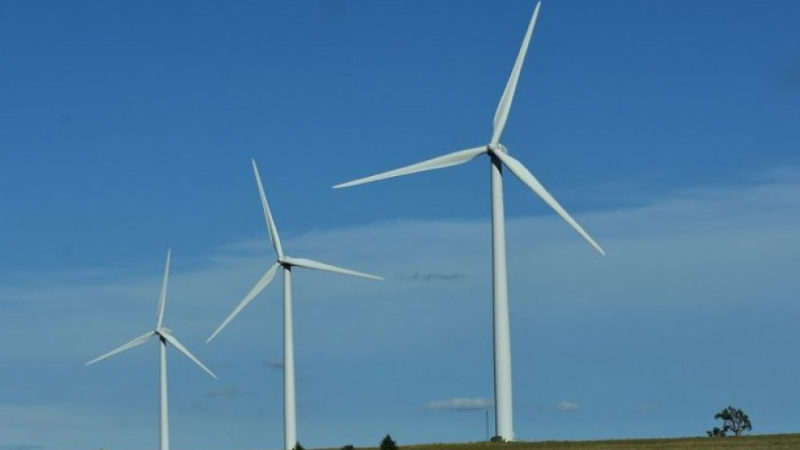 MSEDCL wind procurement Tender
