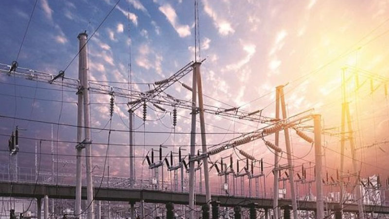 Privatization of electricity distribution