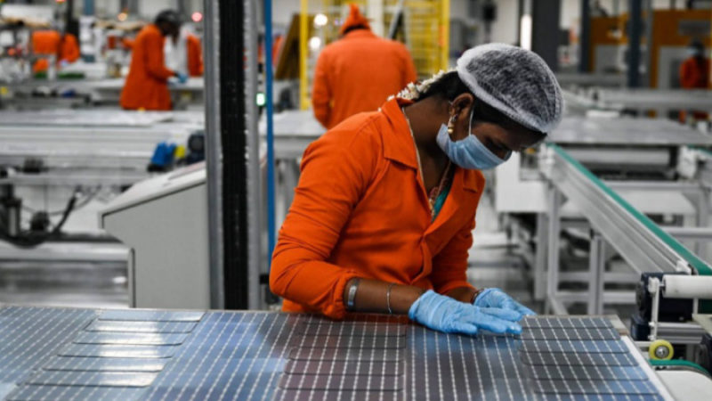 Domestic solar manufacturers points to lack of support from the government and developers